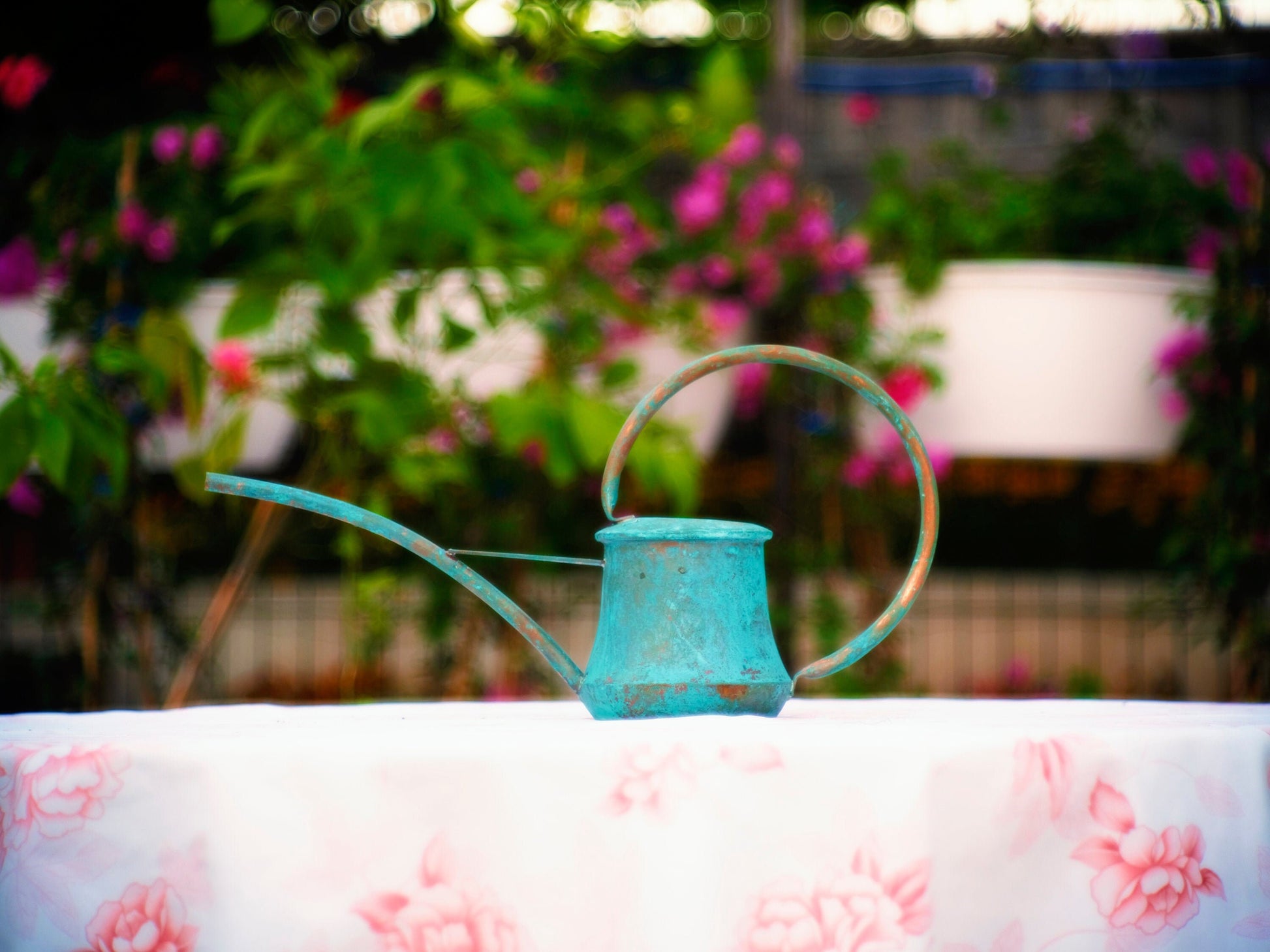 Copper Watering Can