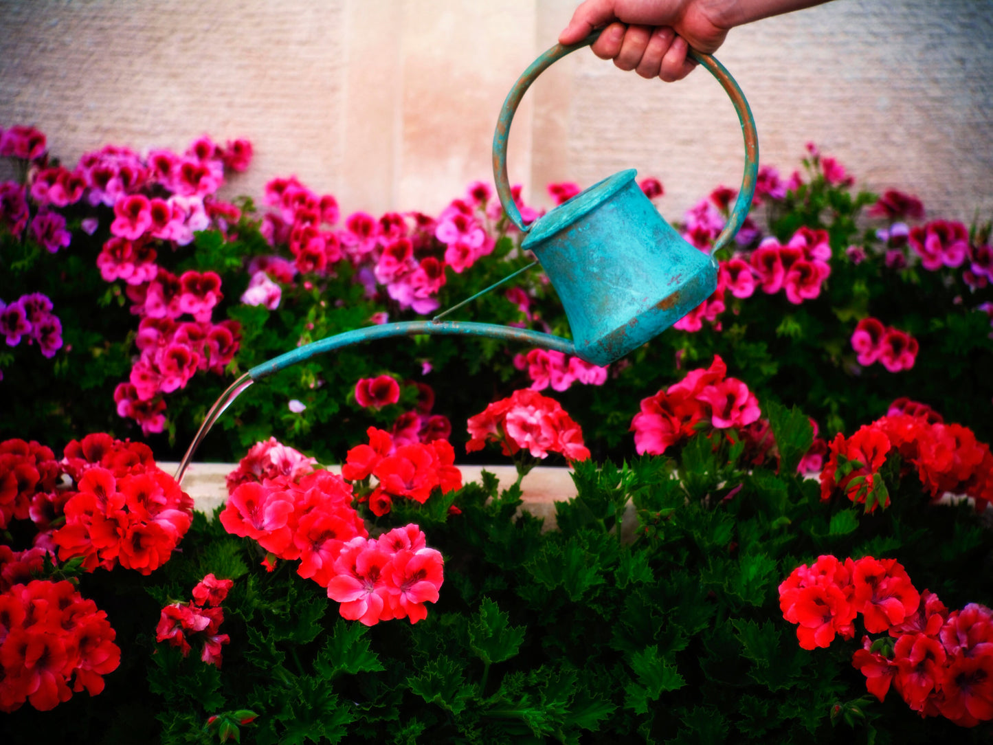 Copper Watering Can, Copper Watering Pot, Outdoor Watering Pot, 2 Color Options