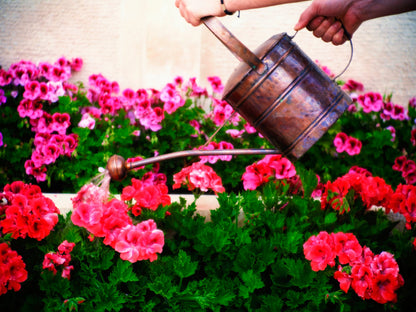 Copper Watering Can, Copper Watering Pot, Flower Watering Pot, Outdoor Watering Pot, Vintage Watering Can, Copper Pitcher, Copper Can