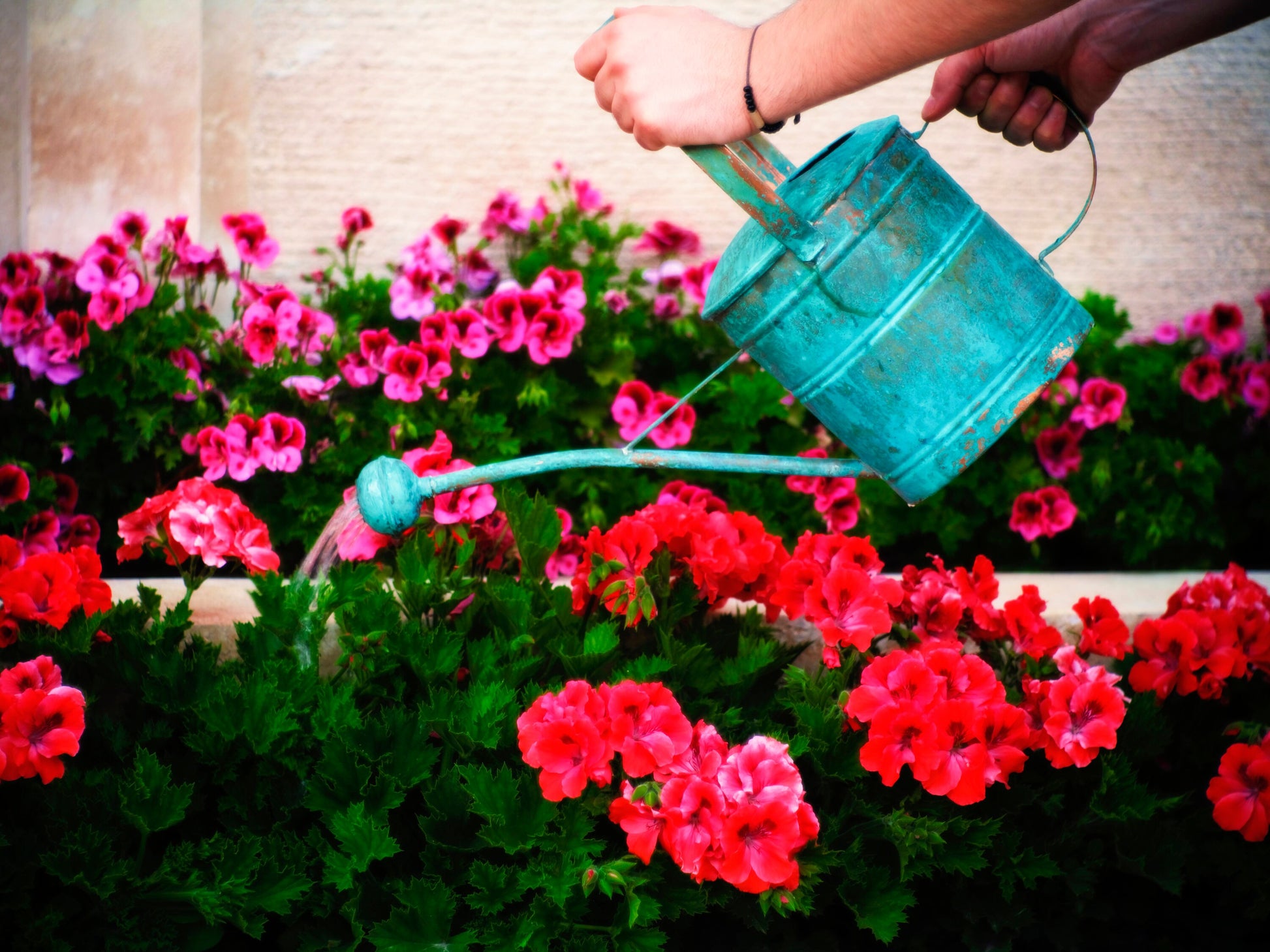 Copper Watering Can, Copper Watering Pot, Flower Watering Pot, Outdoor Watering Pot, Vintage Watering Can, Copper Pitcher, Copper Can