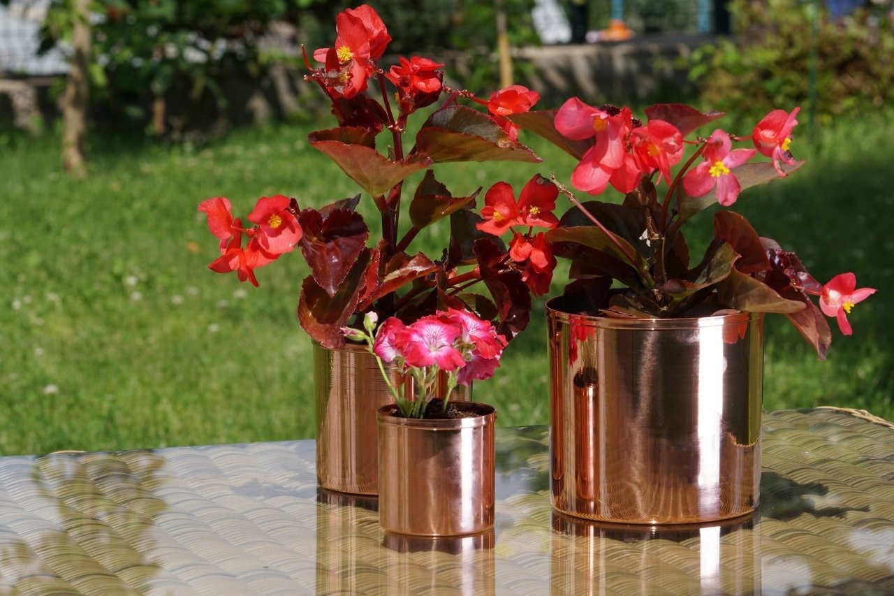 Handmade Copper Planters Set of 3 , 2 Color